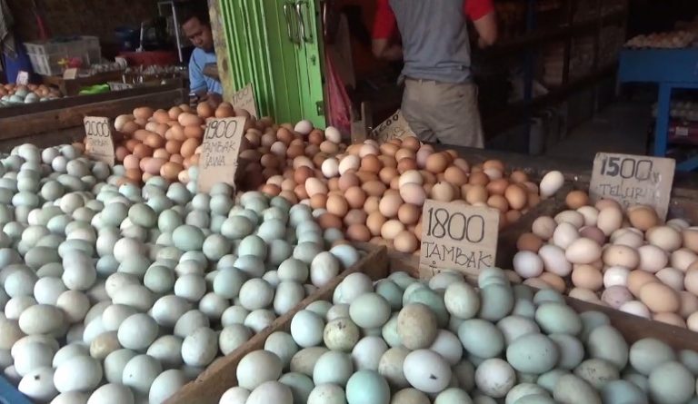 penjualan telur di Pasar Antasari