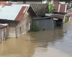 beberapa wilayah di Kabupaten Tapin tergenang Banjir