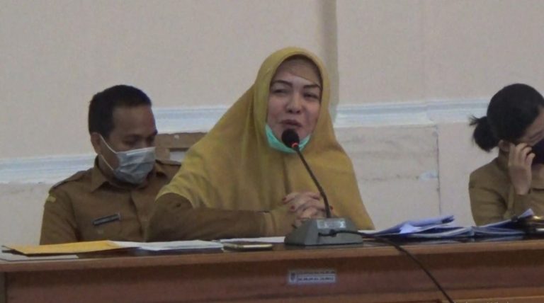 Ernawati, PLT Kepala Dinkes Kotabaru