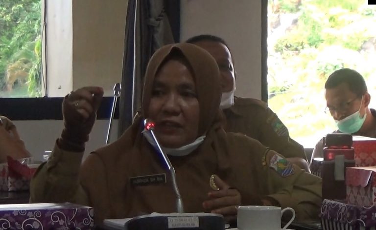 kepala Dinas Sosial kotabaru Nurviza