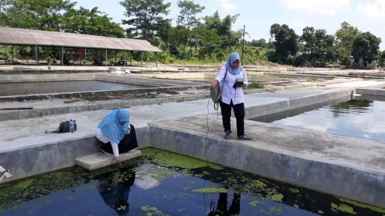 Dinas Perikanan Banjar Pantau Desa Riam Kanan