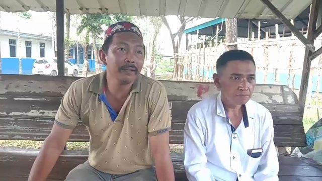 H. Rasyidi - juragan sapi