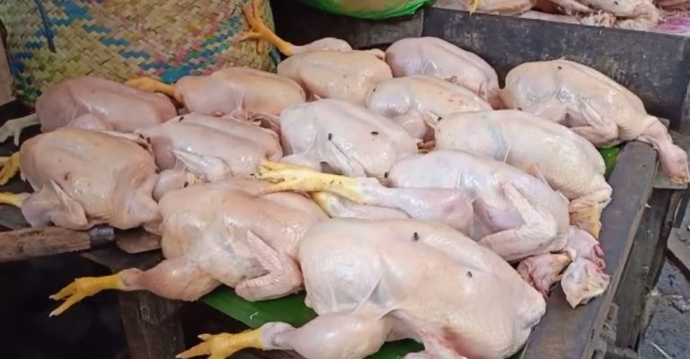 Harga ayam naik di pasaran