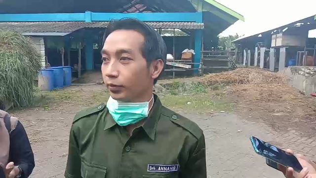 Drh. Anang dwi jatmiko - medok veteriner dkp3 banjarmasin