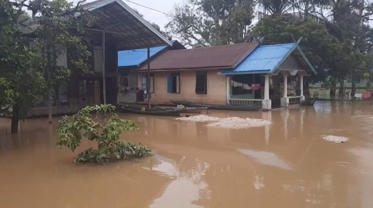 9 Kecamatan di Kabupaten Gunung Mas Terendam Banjir