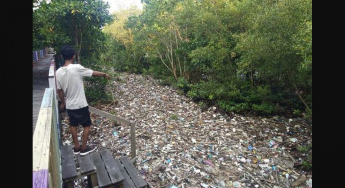 Sampah Taman Mangrove Pantai Bontang Timbulkan Bau Busuk