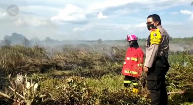 dok : kebakaran lahan di Kalimantan Selatan tahun 2020
