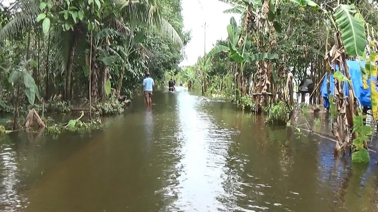 musibah banjir masih genangi sebagian Kabupaten batola