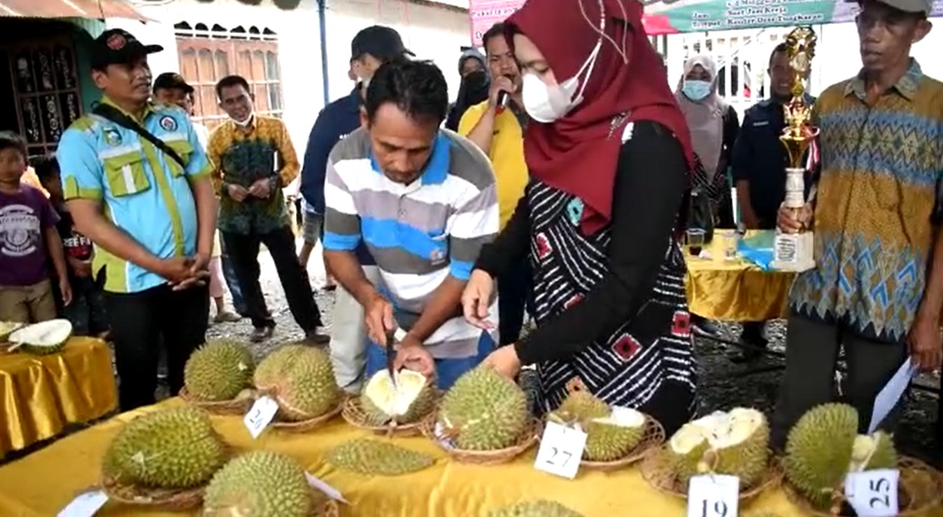 kontes durian di Desa Tungkaran