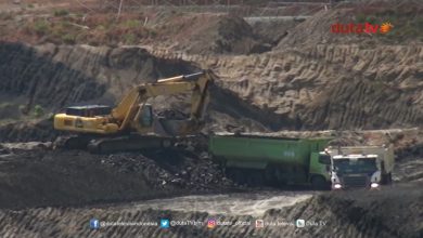 tambang batu bara di Kalimantan Selatan