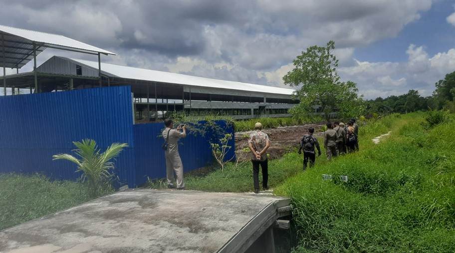 Kandang Ayam Ilegal