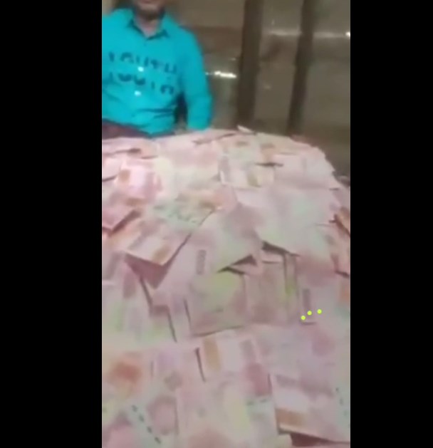 Tumpukan Daun Jadi Uang