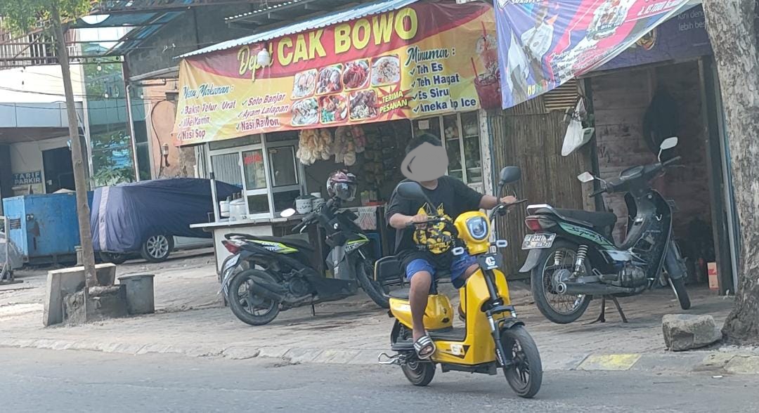 Pengguna Motor Listrik
