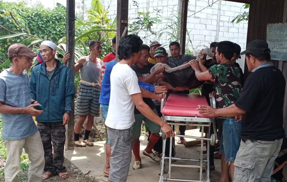 Korban Longsor di Tambang Emas Kotabaru