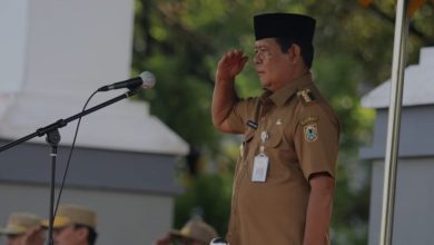 Gubernur Kalimantan Selatan