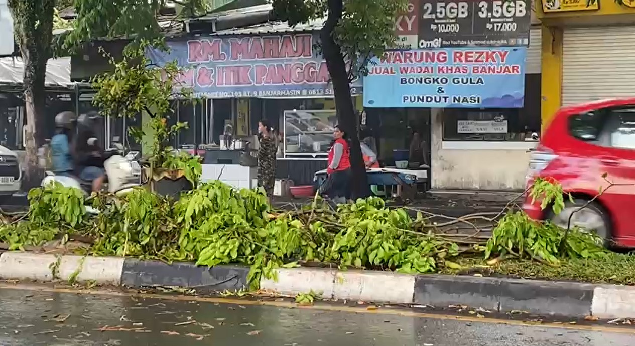 Pohon tumbang di Kota Banjarmasin