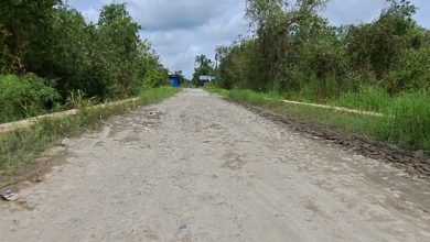 Jalan Desa Lok Buntar Kecamatan Sungai Tabuk Kabupaten Banjar