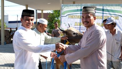 Polda Kalimantan Selatan mengadakan acara qurban dengan penyerahan sebanyak 233 hewan qurban
