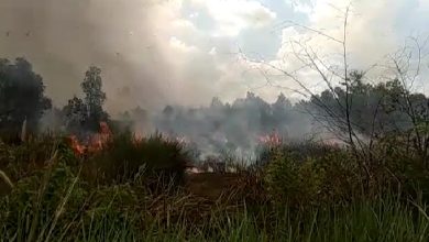 Lahan Semak Belukar Terbakar di Desa Liang Anggang