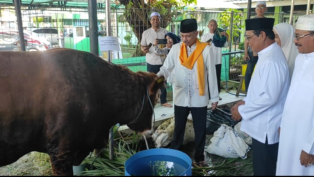 Paman Birin Serahkan Bantuan Sapi Kurban dari Presiden RI