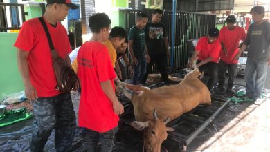 Proses penyembelihan hewan kurban oleh anggota Kerukunan Sulawesi Selatan (KSS) dan Ikatan Wanita Sulawesi Selatan (IWSS)