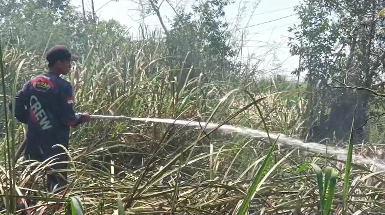 seorang relawan damkar nampak sedang memadamakan api kebakaran lahan