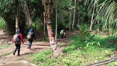 Mapala UNISKA Banjarmasin, melakukan survei jalur pendakian di Gunung Halau-Halau