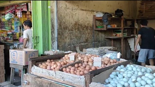 harga telur ayam ras kembali merangkak naik di tingkat agen