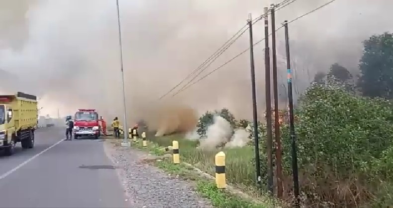 Kebakaran Lahan di Pengayuan