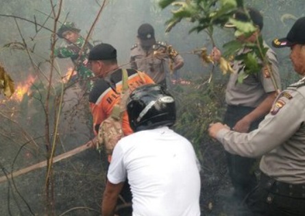 Klhk Segel Lokasi Karhutla Milik Perusahaan Di Kalbar