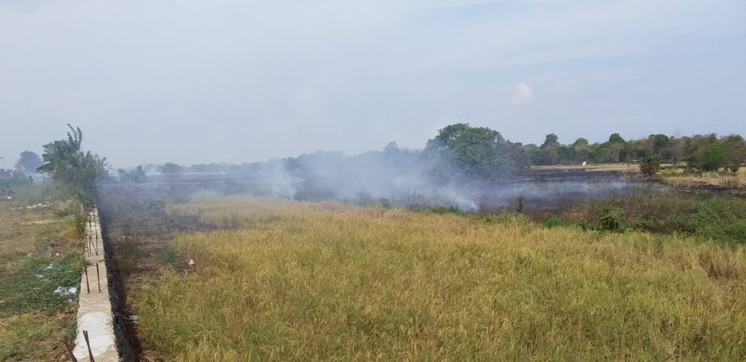 pembakaran lahan marak di kabupaten banjar