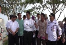 Lahan rawa padi dan optimasi lahan di Desa Padang, dikunjungi oleh Menteri Pertanian Andi Amran Sulaiman