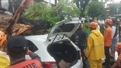 pohon tumbang mengenai mobil parkir di kawasan RTH Kamboja