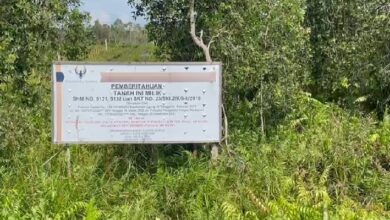 Lahan sengketa seluas 2 hektar di Jalan Gubernur Syarkawie