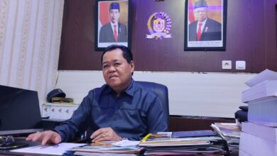 Wakil Ketua DPRD Kota Banjarmasin, Matnor Ali