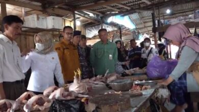 Satgas Pangan Kabupaten Kotabaru melaksanakan survei ketersediaan dan stabilitas bahan pokok menjelang Idul Fitri