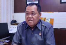 Wakil Ketua DPRD Kota Banjarmasin, Matnor Ali