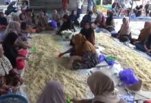 rewalan siapkan nasi samin untuk Haul Guru Kelampaian