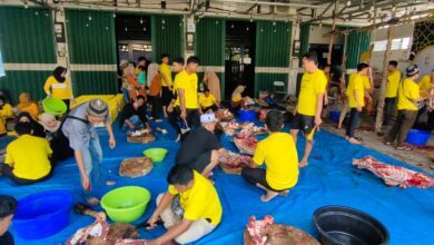 DPD Golkar Banjarmasin Salurkan 30 Ekor Sapi Kurban di Banjarmasin