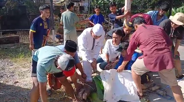 Warga RT. 6 Budi Waluyo Banjarbaru, Kurban 4 Sapi