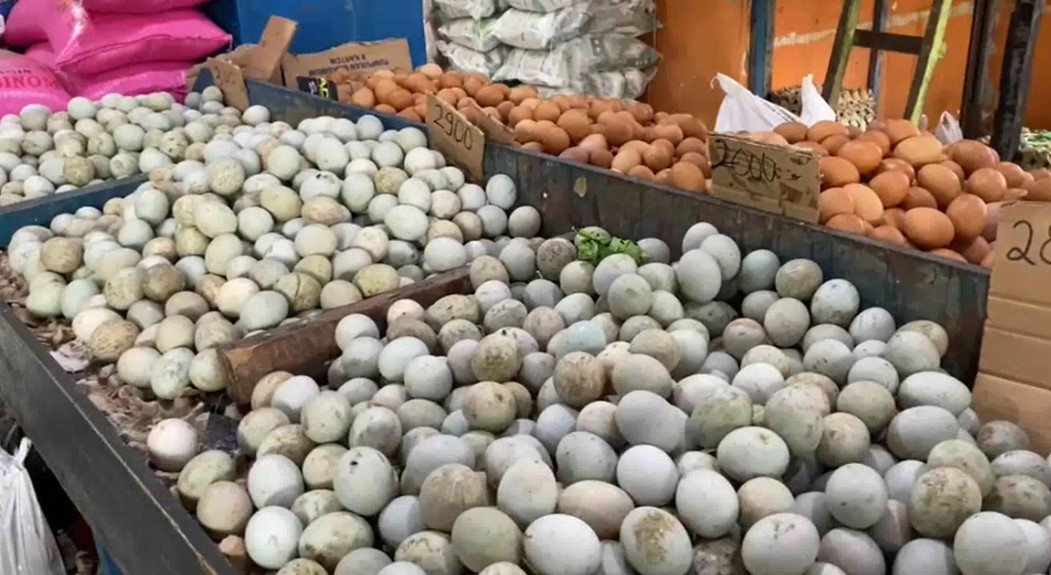 harga telur bebek menjelang Idul Adha alami kenaikan