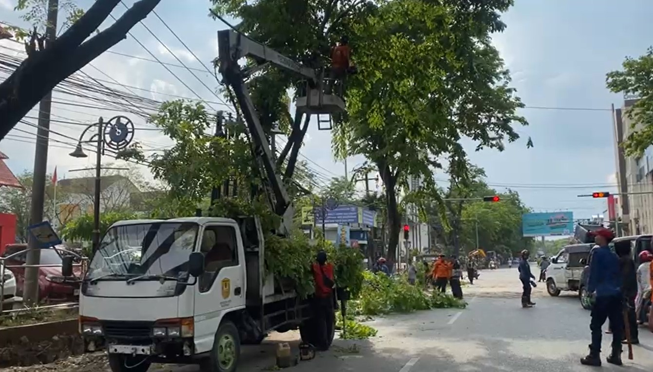 Pohon Tumbang Timpa Tiga Mobil di Jalan Pangeran Samudera, Kota Banjarmasin