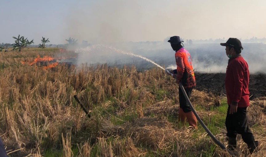 Sejumlah relawan pemadam kebakaran di Kecamatan Gambut dan Kota Banjarbaru melakukan pemadaman kebakaran lahan pertanian