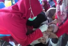 pemberian tetes vaksin polio untuk anak berusia di bawah tujuh tahun