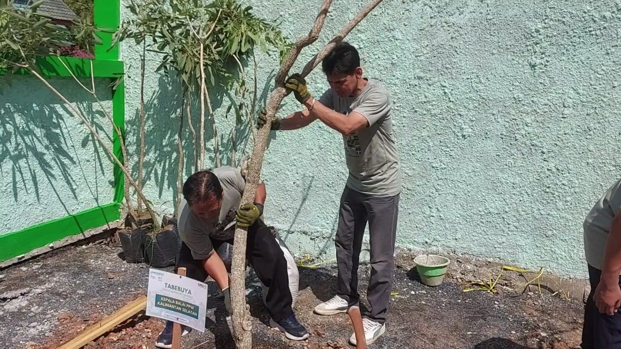 BPP Kalsel melaksanakan kegiatan penanaman pohon di halaman Asrama Putri UIN Antasari