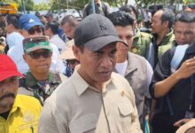 Menteri Pertanian RI, Andi Amran Sulaiman, meninjau program optimalisasi lahan, cetak sawah, dan pembentukan brigade pangan di Desa Anjir Pasar