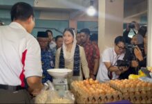 Wakil Menteri Perdagangan Republik Indonesia, Dyah Roro Esti Widya Putri, melakukan kunjungan kerja ke Pasar Pandu