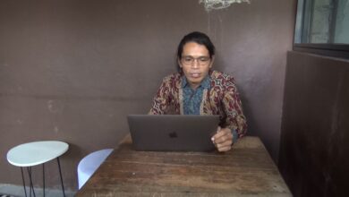 Edy Ariansyah, Pengamat Politik