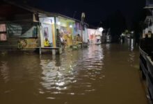 Warga Jafri Zam-Zam Jadi Langganan Banjir Rob