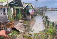 Sudah 2 Tahun Titian Kampung Hijau Belum Diperbaiki